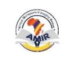 logo amir